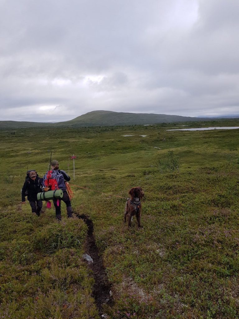 Vy över fjällen och Lukas familj som vandrar