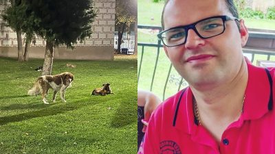 Alexander Curlinovski och hundar i en park.